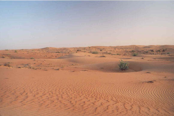 dunes2
