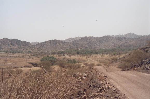 wadi3